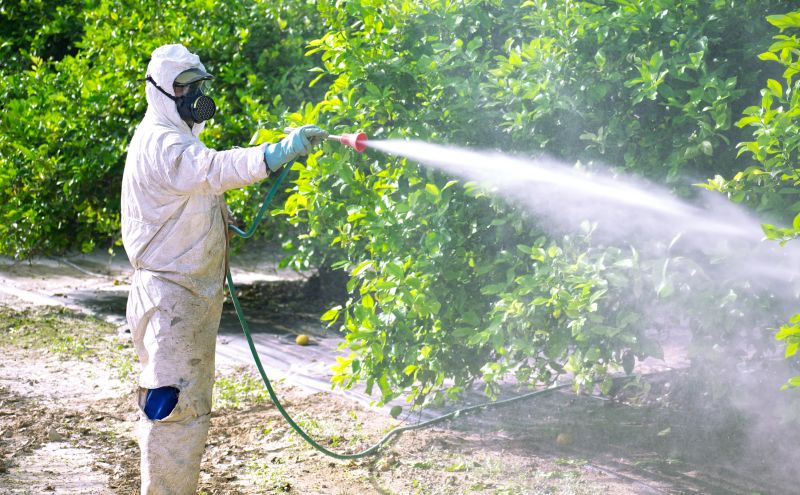 Fumigation Service in Oklahoma City, OK