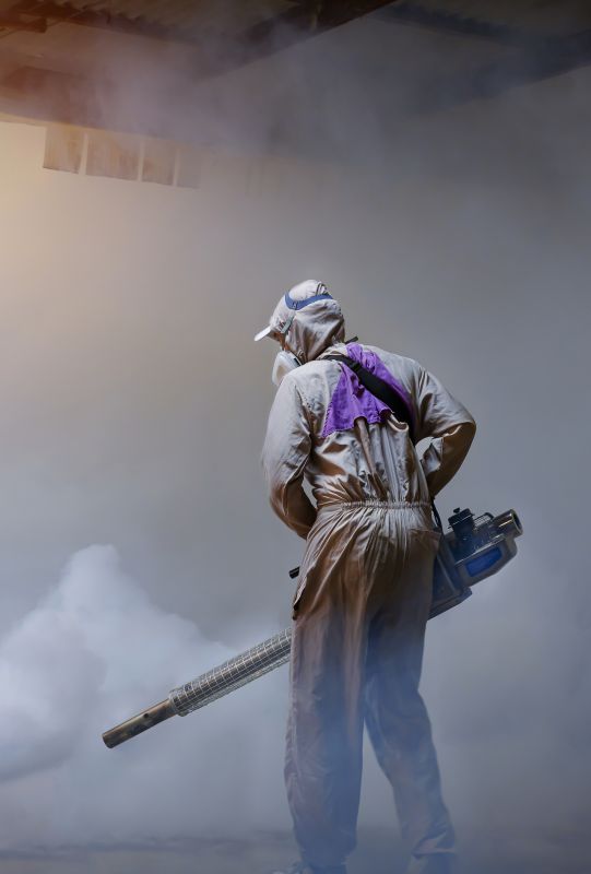 Roach Fumigation in Katy, TX