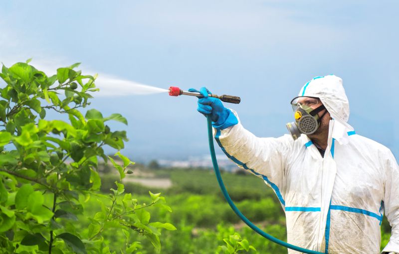 Roach Fumigation in Asheville, NC