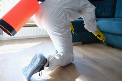 Pest Fumigation Service in Fort Collins, CO