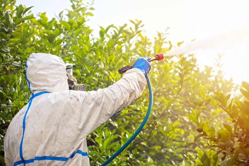 Pest Fumigation Service in Coeur D Alene, ID
