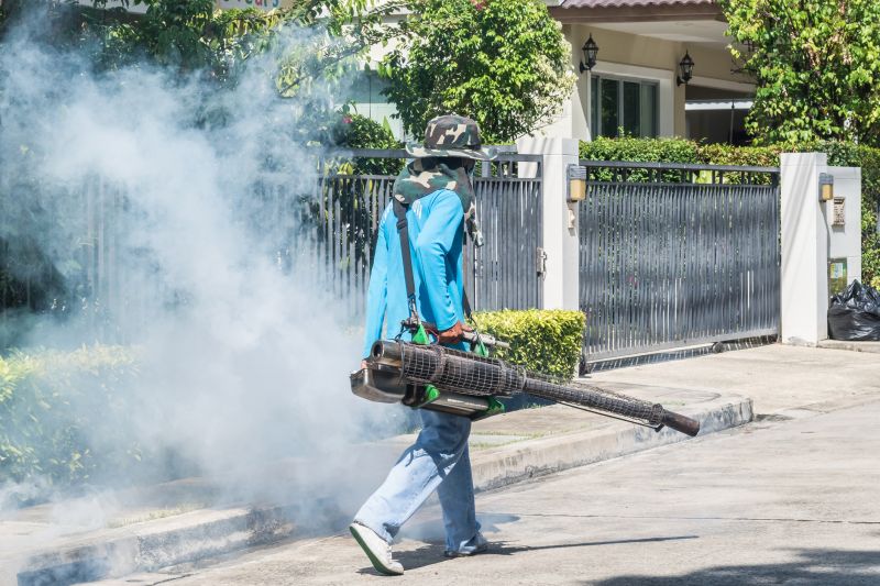 Rat Fumigation Service in San Antonio, TX